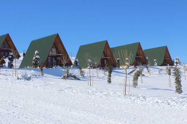 beş adet üçgen bungalov ev karlı bir arazide yan yana duruyor , çatı trapezleri yeşil renkte , bir bungalov kış turizm tesisi oteli için yapıldılar.